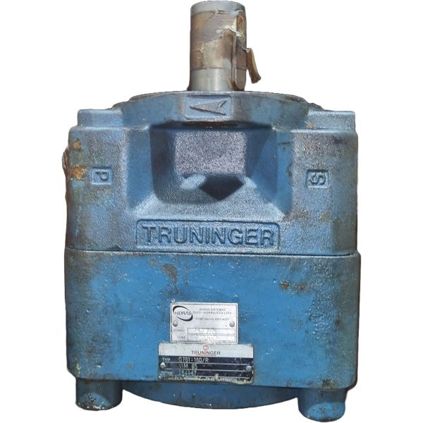 Bomba hidráulica, óleo hidráulico, deslocamento 160 cc/rev - TRUNINGER usada