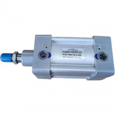Cilindro pneumático NCWE-P08073810-0050 80X50 - WERK SCHOTT