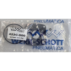 Kit de reparo 422C-000 - WERK SCHOTT
