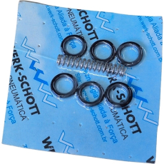 Kit de reparo 2500-0 - WERK SCHOTT