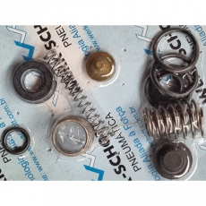 Kit de reparo WE-4-000 para válvula da Série W - WERK SCHOTT