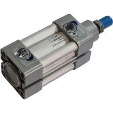 Cilindro pneumático NCWE-T05073810-0025 50X25 - WERK SCHOTT