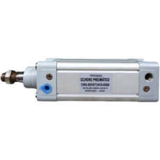 Cilindro pneumático CWUE05073410-0080 50X80 - WERK SCHOTT