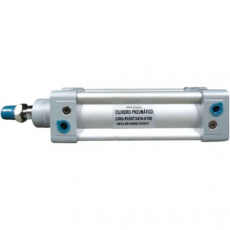 Cilindro pneumático CWUP050734100100 50X100 - WERK SCHOTT